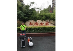 紅街公寓16-2-1202甲醛治理