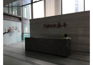 泰禾集團杭州公司甲醛治理