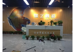 蝶藝舞蹈甲醛治理