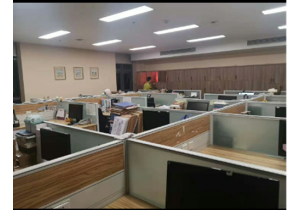 施強國際